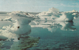 Picturesque Ice Berg In Newfoundland Harbour - Sonstige & Ohne Zuordnung