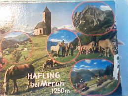 VEDUTE HAFLING - FALZEBEN CAVALLO HORSE PULEDRO VB1990 JH10064 - Merano