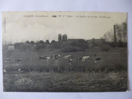 Eclaron.  Le Quartier De La Gare.  Un Pâturage. Vaches. - Eclaron Braucourt Sainte Liviere