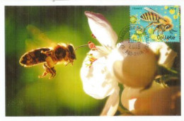 FRANCE.  Abeille Du Lierre.  CARTE-MAXIMUM - Abeilles