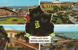 - WESTON-SUPER-MARE - GOOD LUCK FROM WESTON-SUPER-MARE - Scan Verso - - Weston-Super-Mare