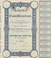 - Titre De 1920 - Aciéries De Familleureux - Société Anonyme  - - Industrie