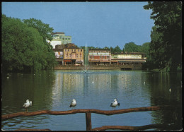 (B3145) AK Neumünster In Schleswig-Holstein, Teich Mit Blick Zur Kieler Brücke - Neumuenster