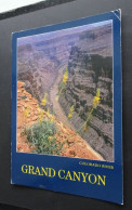 Scenic Beauty At The Grand Canyon - Petley Studios, Arizona - # 1471 - Gran Cañon