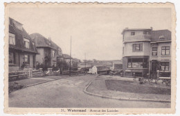 Bruxelles - Watermael - Avenue Des Lucioles - N°  31 - Edit. A. Marrissens, Watermael - Watermael-Boitsfort - Watermaal-Bosvoorde