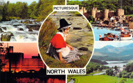 PAYS DE GALLES - Picturesque - North Wales - Carte Postale Ancienne - Sonstige & Ohne Zuordnung