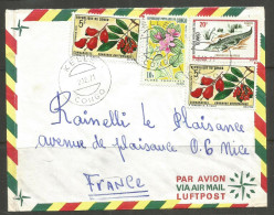 CONGO. 1971. AIR MAIL COVER TO FRANCE. KELLE POSTMARK. - Oblitérés