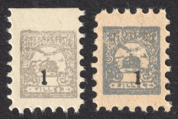 CHILDREN POST STAMP  / TURUL - Hungary - 1910 - MNH - 1 F - Color Variation - Unused Stamps