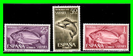 ESPAÑA COLONIAS ESPAÑOLAS (SAHARA ESPAÑOL – AFRICA ) SERIE DE SELLOS AÑO 1964 DIA DEL SELLO  - NUEVOS - - - Sahara Español