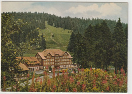 Obertal, Hotel U. Kurhaus Ruhestein, Baden-Württemberg - Hochschwarzwald