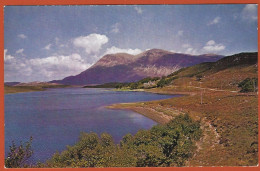 Ecosse : Lac Stack Et Le Mont Arkle - Carte Non Circulée - Sutherland