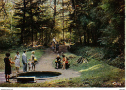 03 Forêt De Tronçais Vers Bourbon L'Archambault La Fontaine De Vilgeot Animée - Bourbon L'Archambault