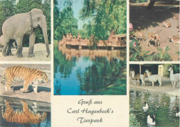 Germany Hamburg-Stellingen Gruss Aus Carl Hagenbeck's Tierpark Multi View - Stellingen