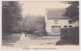 Bruxelles - Boitsfort - Entrée De La Forêt De Soignes - Edit. DVD N° 10430 / Papeterie Dero - Watermael-Boitsfort - Watermaal-Bosvoorde