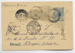 BRAZIL BRESIL ENTIER 50 REIS BILHETE POSTAL PETROPOLIS 1906 - Entiers Postaux