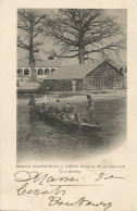 GAMBIA - BATHURST (GAMBIA RIVER) - NATIVES BRINGING THE GROUND NUTS TO A FACTORY - 1904 - Gambia