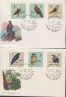 1960. POLSKA. Beautiful Complete Set With Birds On 4 Fine FDC Cancelled 30 XI 60. (Michel 1197-1208) - JF438594 - Storia Postale