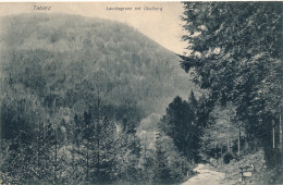 TABARZ   LAUCHAGRUND MIT ÜBELBERG   2 SCANS - Lauscha