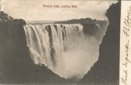 ZAMBIA - VICTORIA FALLS, LOOKING WEST - PUB. P.S. & C - 1905 - Zambie