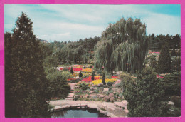 290030 / Canada -  Hamilton (Ontario) - A Section Of The Famous Rock Garden  Lake Flowers Tree PC P 12953 Kanada - Hamilton