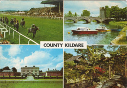 - IRLANDE. - COUNTY KILDARE - Scan Verso - - Kildare