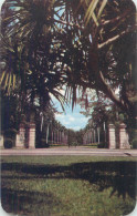 Postcard USA Florida Miami Hialeah Race Course Entrance 1962 - Miami