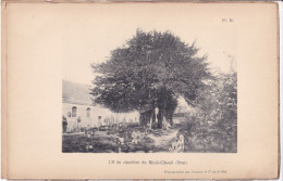 Ménil-Ciboult (Orne 61) IF Du Cimetière - 1 Planche Ancienne Sortie D'un Livre - Photographié Le 17 Avril 1894 - Altri Disegni