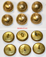 Militaria-FR-terre-boutons_légion étrangère_22 Mm_6 Pièces_21-21 - Boutons