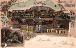 Belfort - Souvenir De La Ville - Le Château - Le Lion - Belfort - Stadt