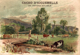 CHROMO CHOCOLAT D'AIGUEBELLE PAYSAGE - Aiguebelle