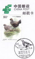 China Postmark Card,Banwei Hazel Chicken - Andere & Zonder Classificatie