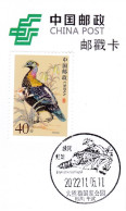 China Postmark Card,Green Tailed Rainpheasant - Sonstige & Ohne Zuordnung