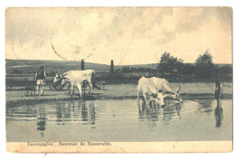 Moldova , Moldavie , Basarabia , Bessarabia , Souvenir De Bessarabie ,  , RARE Postcard , Edit. By A.Wolkenberg - Moldavië