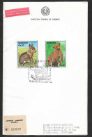 Paraguay FDC Recommandée 1990 Faune Rongeurs Mara Lapin Sauvage Martucha Fauna Mara Wild Rabbit R FDC - Conejos