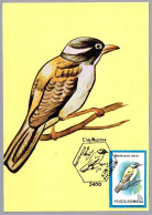 MELITHREPTUS LAETIOR - Pajaro Miel De Lomo Dorado - Golden-backed Honeyeater . Cluj Napoca 1992 - Mechanical Postmarks (Advertisement)