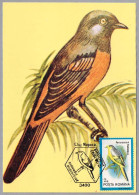 PERICROCOTUS FLAMMEUS - Minivet Escarlata - Orange Minivet. Cluj Napoca 1992 - Mechanical Postmarks (Advertisement)