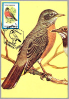 TURDUS MIGRATORIUS - Mirlo Primavera - American Robin. Cluj Napoca 1992 - Mechanical Postmarks (Advertisement)