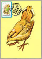 BRACHYPTERACIAS SQUAMIGERA - Carraca Escamosa - Scaly Ground Roller. Cluj Napoca 1992 - Mechanical Postmarks (Advertisement)