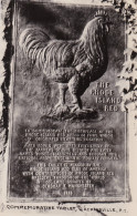 Rhode Island Auriesville The Rhode Island Red Commemorative Tablet Real Photo - Altri & Non Classificati