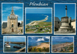 22 , Cpm  PLEUBIAN , 22610 , 4993  (27654) - Pleubian