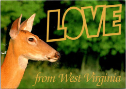 West Virginia Love With White Tail Deer - Altri & Non Classificati