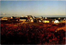 Canada Nova Scotia Peggy's Cove Autumn Splendor - Otros & Sin Clasificación