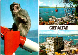 Gibraltar Multi View - Gibraltar