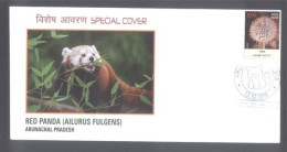 Delcampe - India  2018  Bears  Red Panda  Itanagar  Cancellation As Per Scan  Special Cover # 35841 D  Inde Indien - Bären