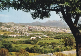 ARZACHENA - OLBIA TEMPIO - SASSARI - COSTA SMERALDA - PANORAMA - 1980 - Olbia