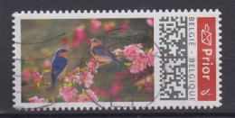 BELGIË - OBP - 2019 - Type Nr. 4831 - (BIRDS) - Used