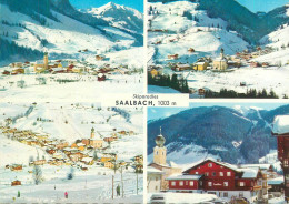 Austria Saalbach Skiparadies Multi View - Saalbach