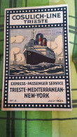 COSULICH - LINE TRIESTE- EXPRESS- PASSENGER SERVICE- TRIESTE- MEDITERRANEAN - NEW- YORK- 1924 - Publicidad