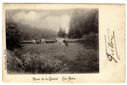 Arlon - Route De La Gaichel Lez Arlon - 1904 - Editeur Librairie Louis, Arlon - Arlon