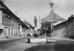 Les Avenières  * La Statue De Bacchus Et La Grande Rue * Magasin Commerce Chaussures - Autres & Non Classés